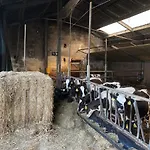 Tatil Evi De Hooiberg