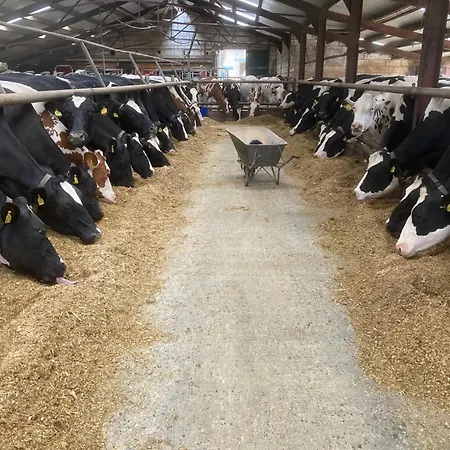 De Hooiberg Semesterbostad *