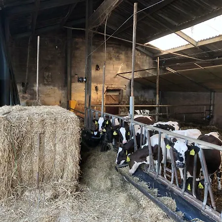 Semesterbostad De Hooiberg