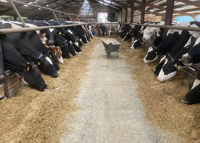 De Hooiberg Nyaraló *