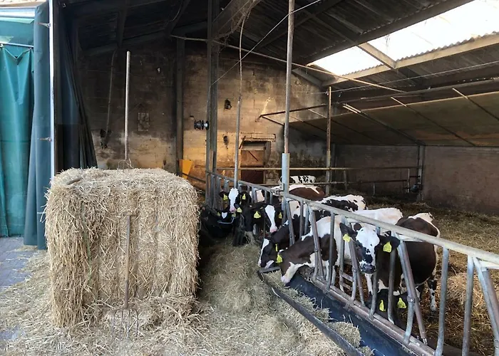 Casa de Férias De Hooiberg